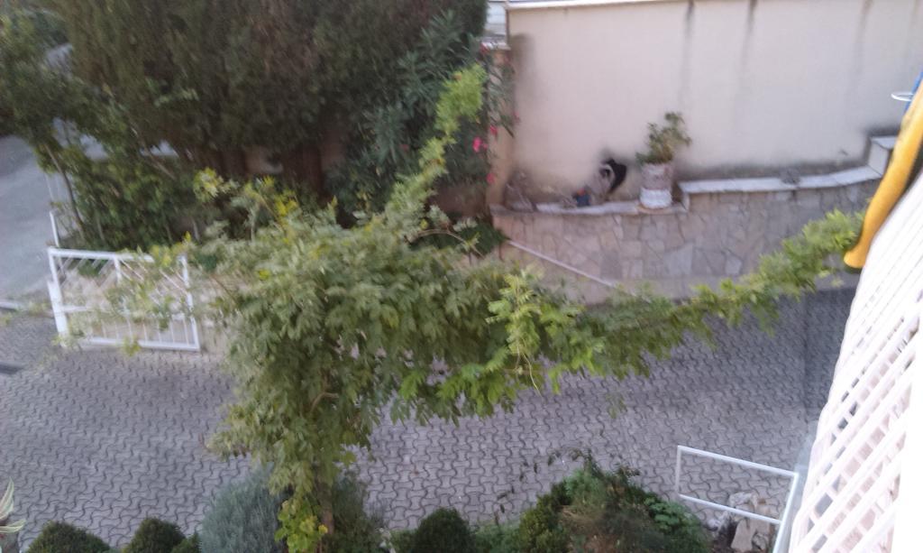 Apartments Pavelic Crikvenica Quarto foto